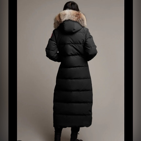 Mystique Canada Goose - Picture 3 of 15
